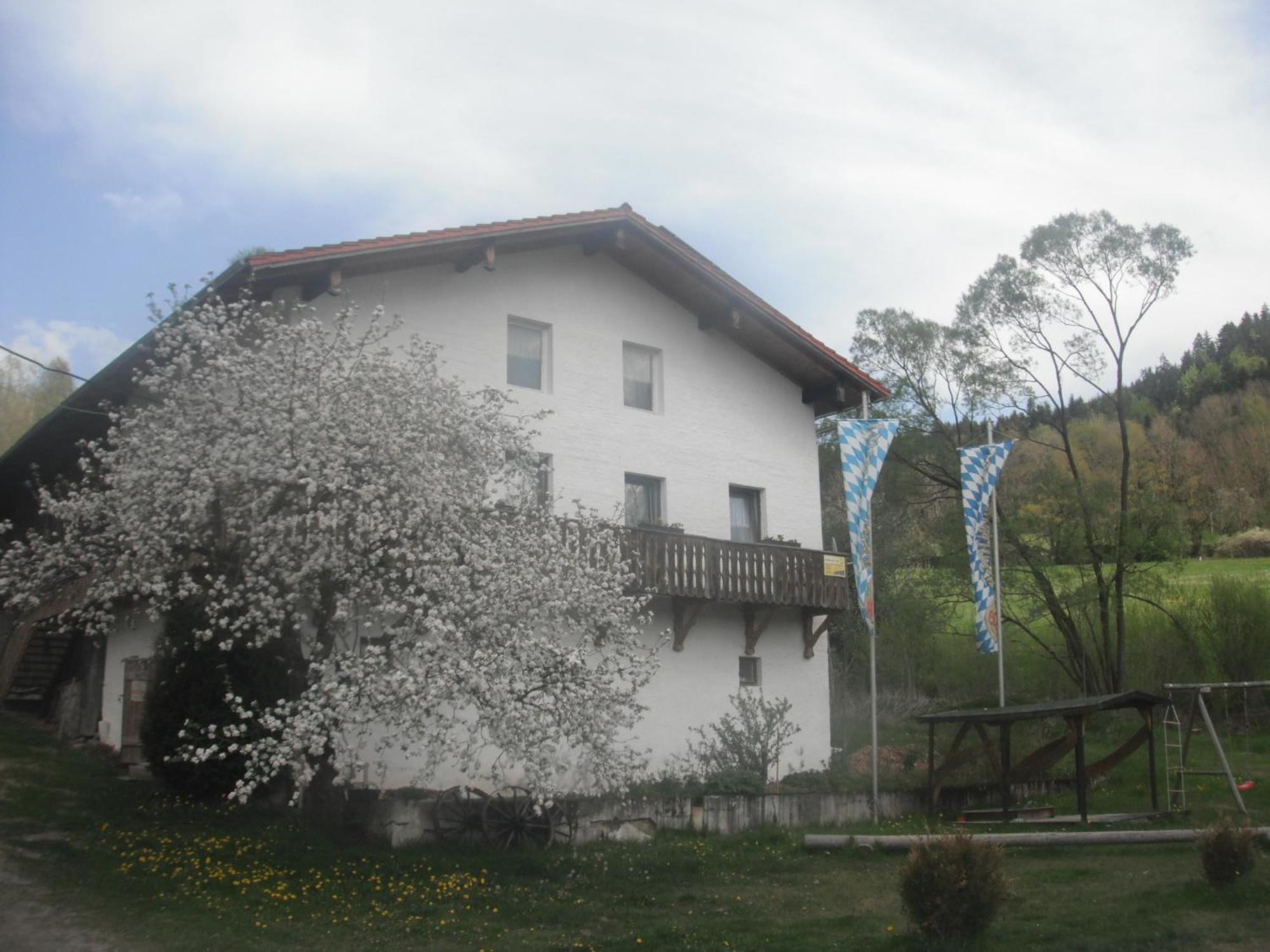 Gasthaus Zehrermuehle Schonberg  Bagian luar foto