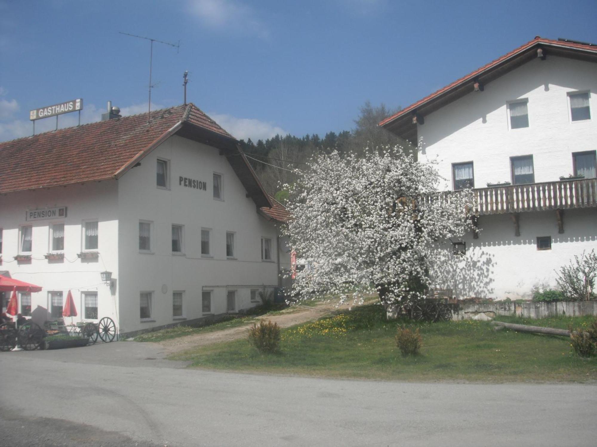 Gasthaus Zehrermuehle Schonberg  Bagian luar foto